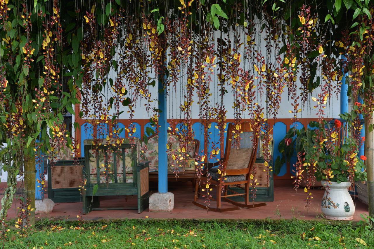 Balsora Hotel Boutique El Edén Buitenkant foto